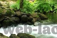 最新伦理2018中文字幕-伦理新视界，2018中文字幕下的深度探讨